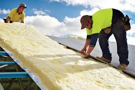 Best Insulation Removal  in Seffner, FL