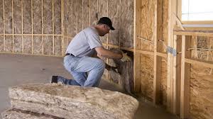 Best Batt and Roll Insulation  in Seffner, FL